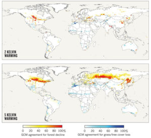 This map developed by PIK combined precipitation and temperature projections from 19 general circulation models to predict global vegetation loss under two different warming scenarios.