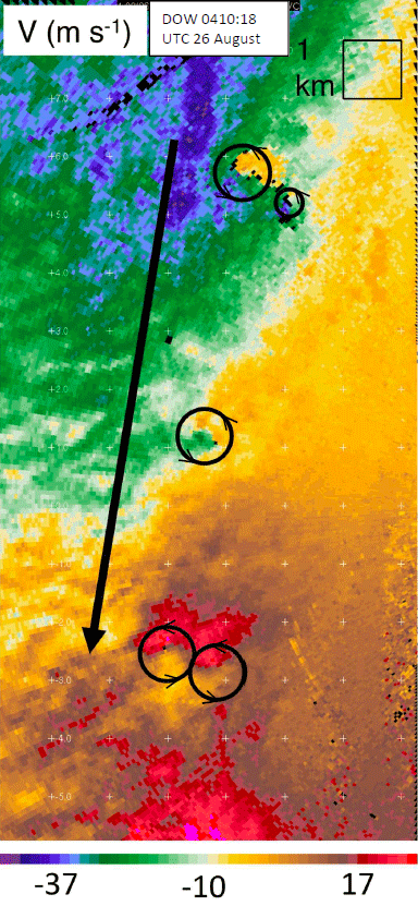 Doppler velocity data reveals single and paired TSVs (demarked schematically with black circles) translating rapidly southward in Harvey’s northwestern eyewall embedded in strong northerly flow (black arrow). These TSVs, moving southward at up to 120 mph, were associated with very intense winds measured up to 145 mph, lofted vehicles, and swaths of the most intense building damage.