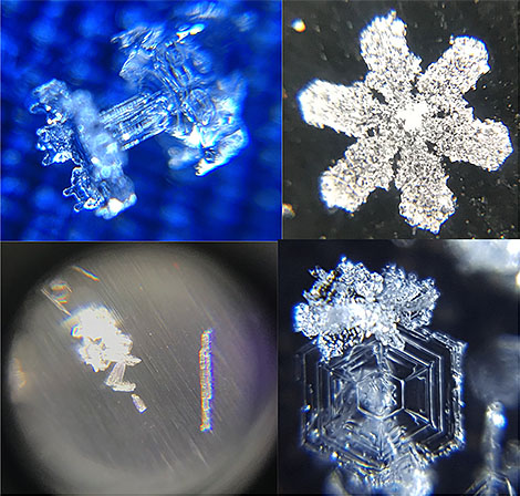 Snow crystal photographs taken by students in the "Snowflake Selfies" class.
