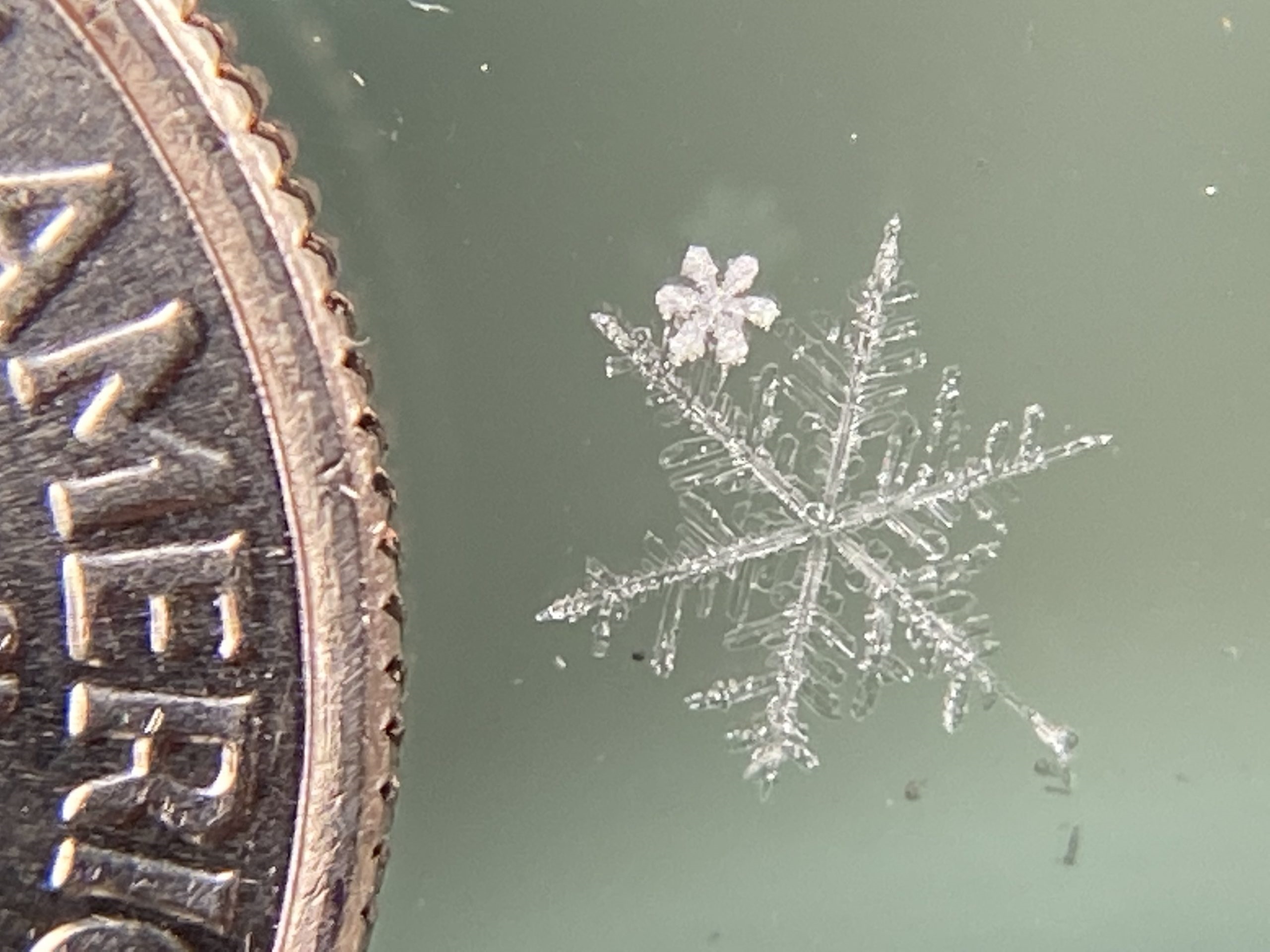 "Colorado Flakes" by Henry Reges